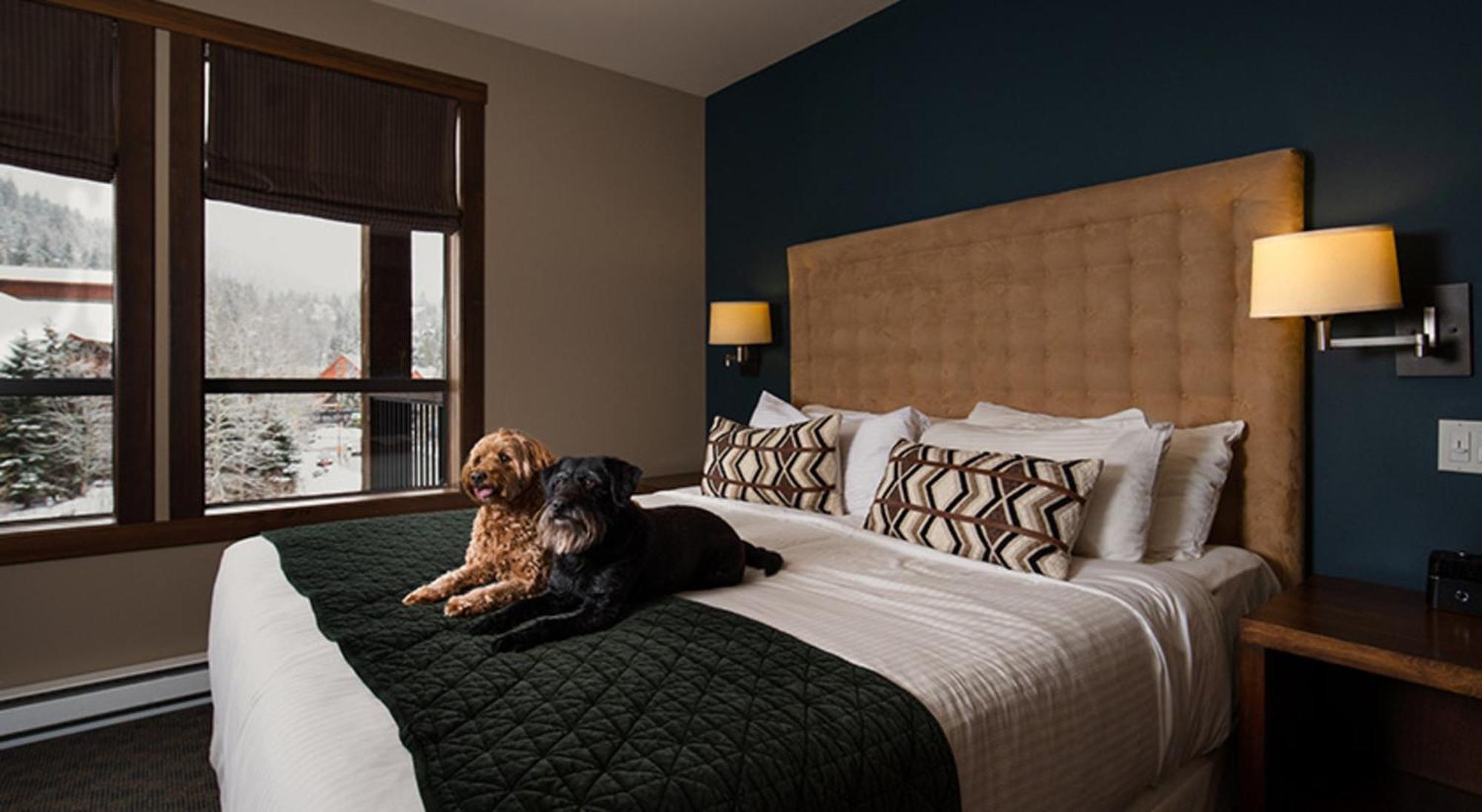 Aparthotel Evolution Whistler Esterno foto